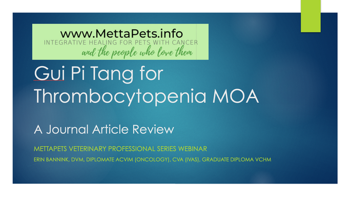 Gui Pi Tang for Thrombocytopenia